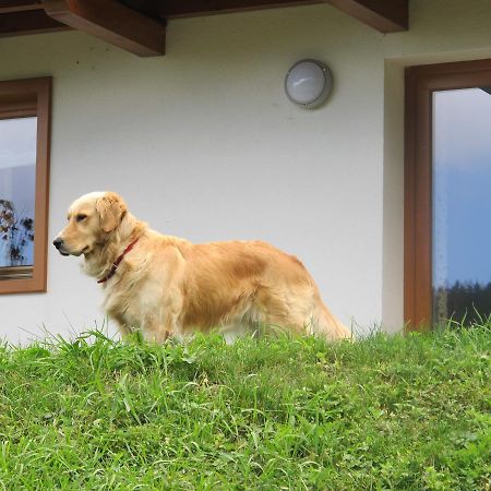 Il Cardo Trentino Apartment Bedollo Bagian luar foto