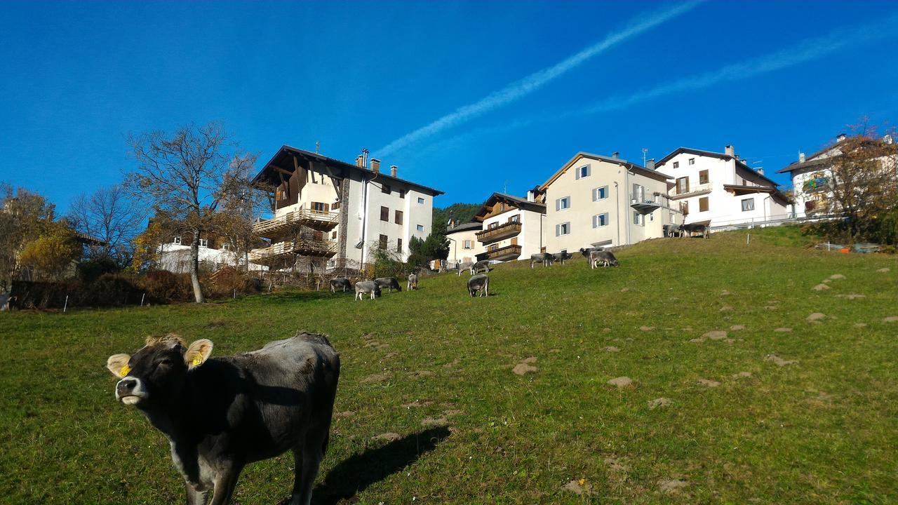 Il Cardo Trentino Apartment Bedollo Bagian luar foto