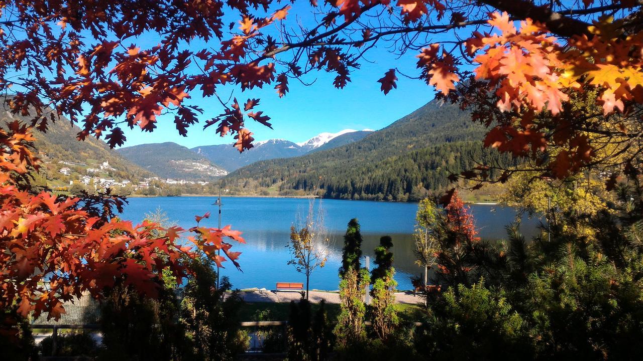 Il Cardo Trentino Apartment Bedollo Bagian luar foto