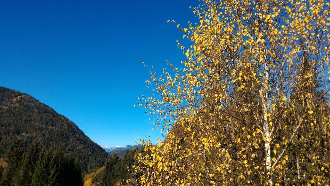 Il Cardo Trentino Apartment Bedollo Bagian luar foto