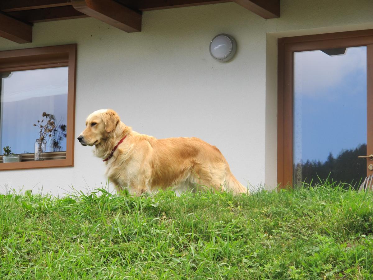 Il Cardo Trentino Apartment Bedollo Bagian luar foto