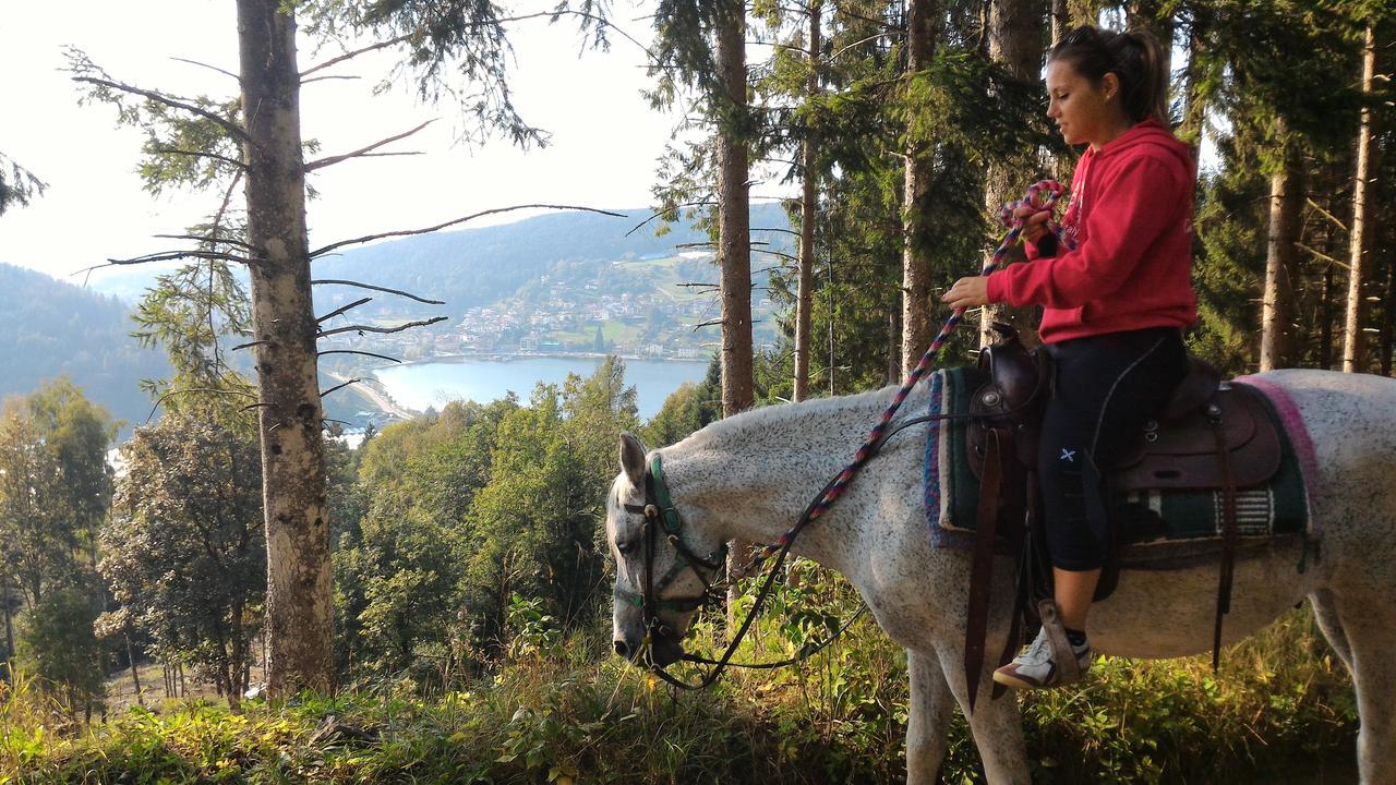 Il Cardo Trentino Apartment Bedollo Bagian luar foto