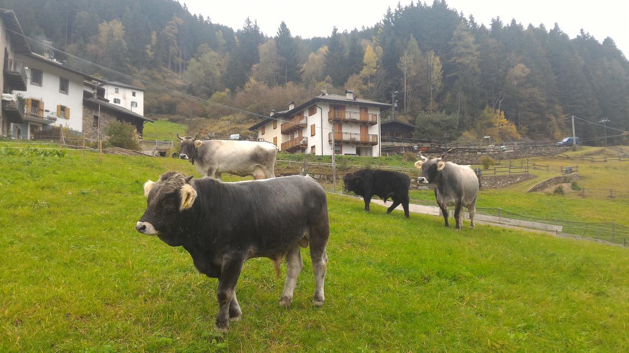 Il Cardo Trentino Apartment Bedollo Bagian luar foto