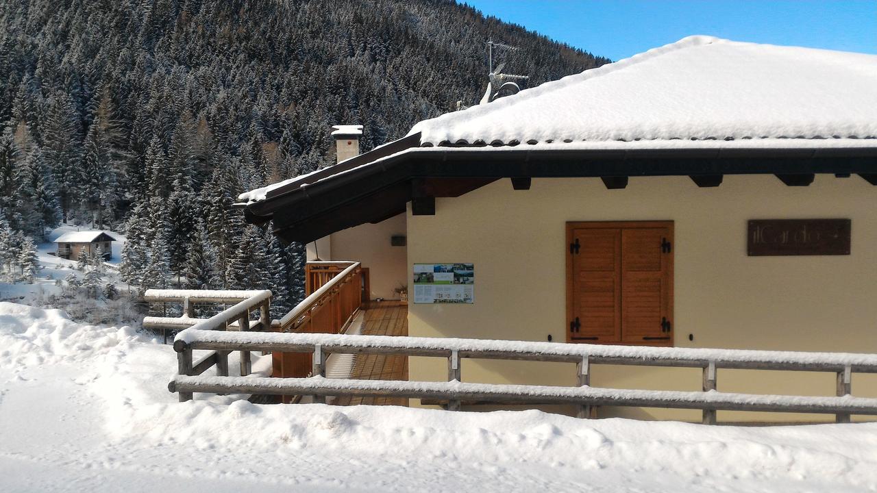 Il Cardo Trentino Apartment Bedollo Bagian luar foto