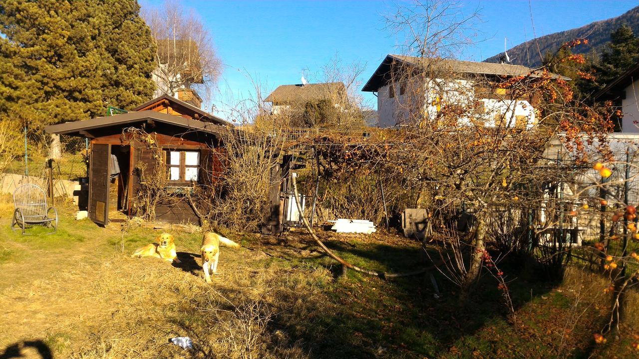 Il Cardo Trentino Apartment Bedollo Bagian luar foto