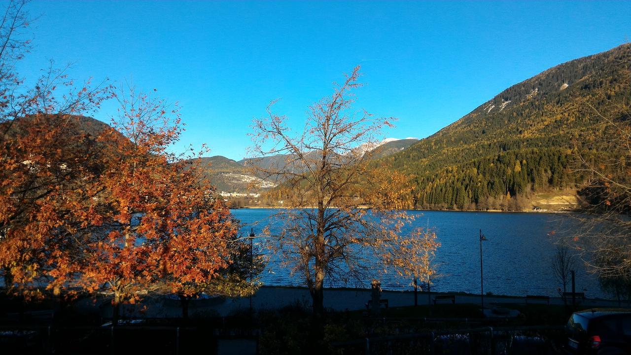 Il Cardo Trentino Apartment Bedollo Bagian luar foto