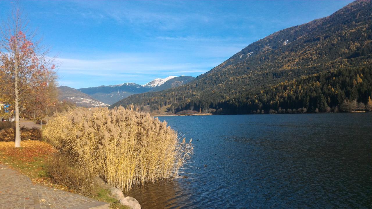 Il Cardo Trentino Apartment Bedollo Bagian luar foto