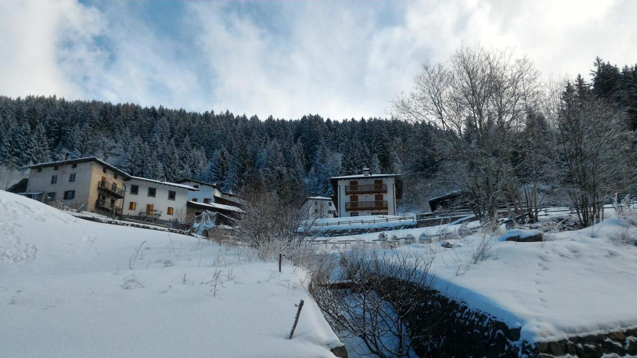 Il Cardo Trentino Apartment Bedollo Bagian luar foto